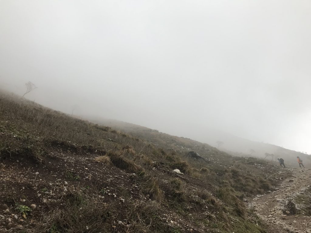 伊吹山,7合目