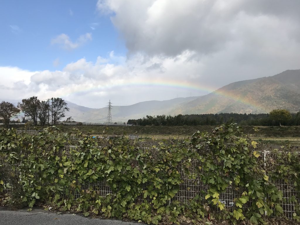 伊吹山,にじ,虹