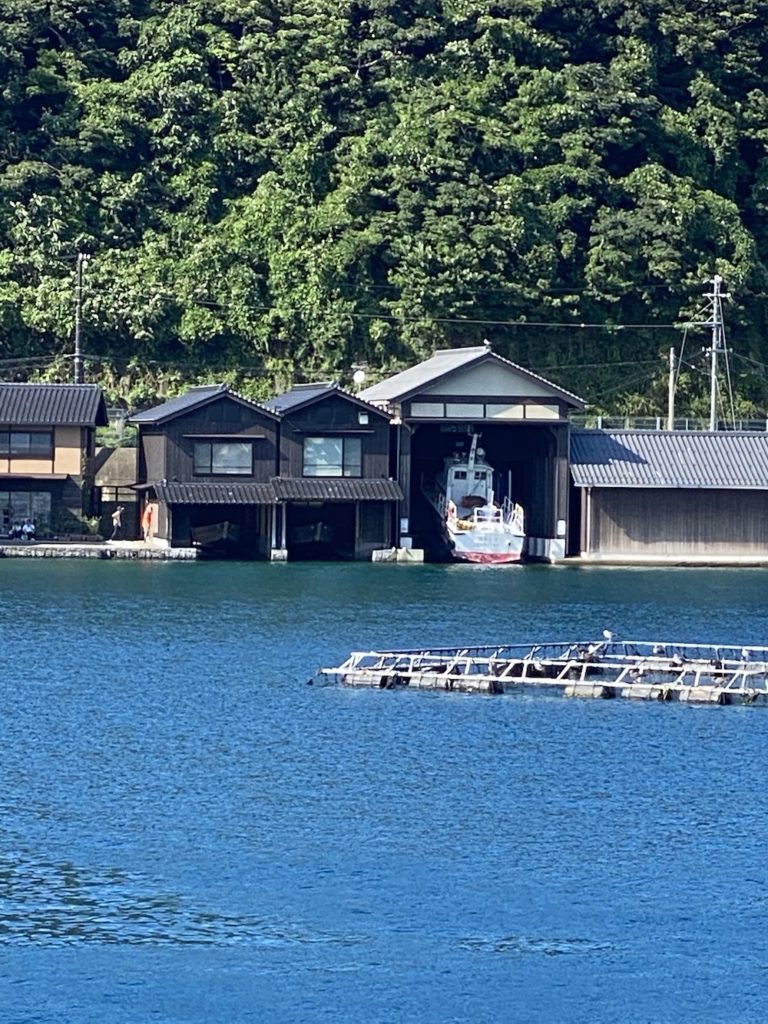伊根の舟屋群,伊根,伊根の舟屋,伊根町,伊根ブリ,伊根湾めぐり遊覧船,かもめ,カモメ