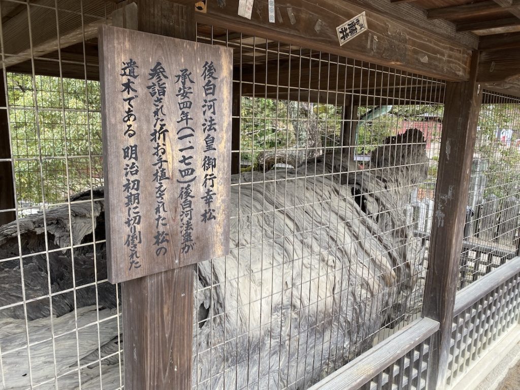 安芸の宮島,厳島,厳島神社,日本三景,世界文化遺産,大鳥居,後白河法皇御行幸松,松の遺木