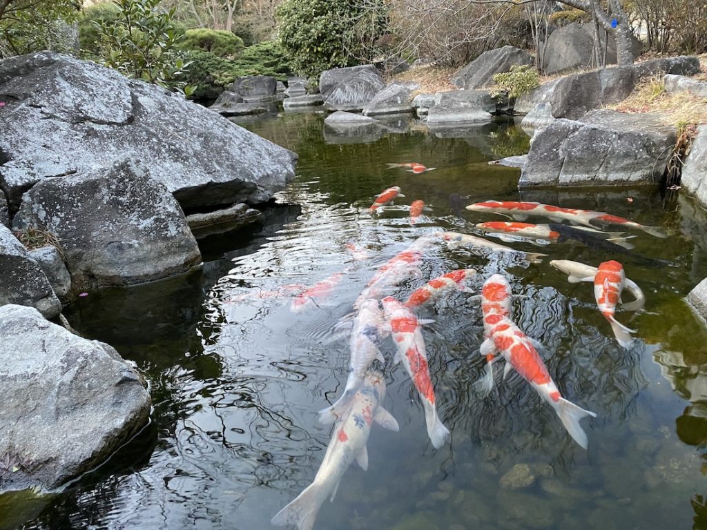 葉山しおさい公園,大正天皇崩御,昭和天皇皇位継承の地,葉山御用邸付属邸