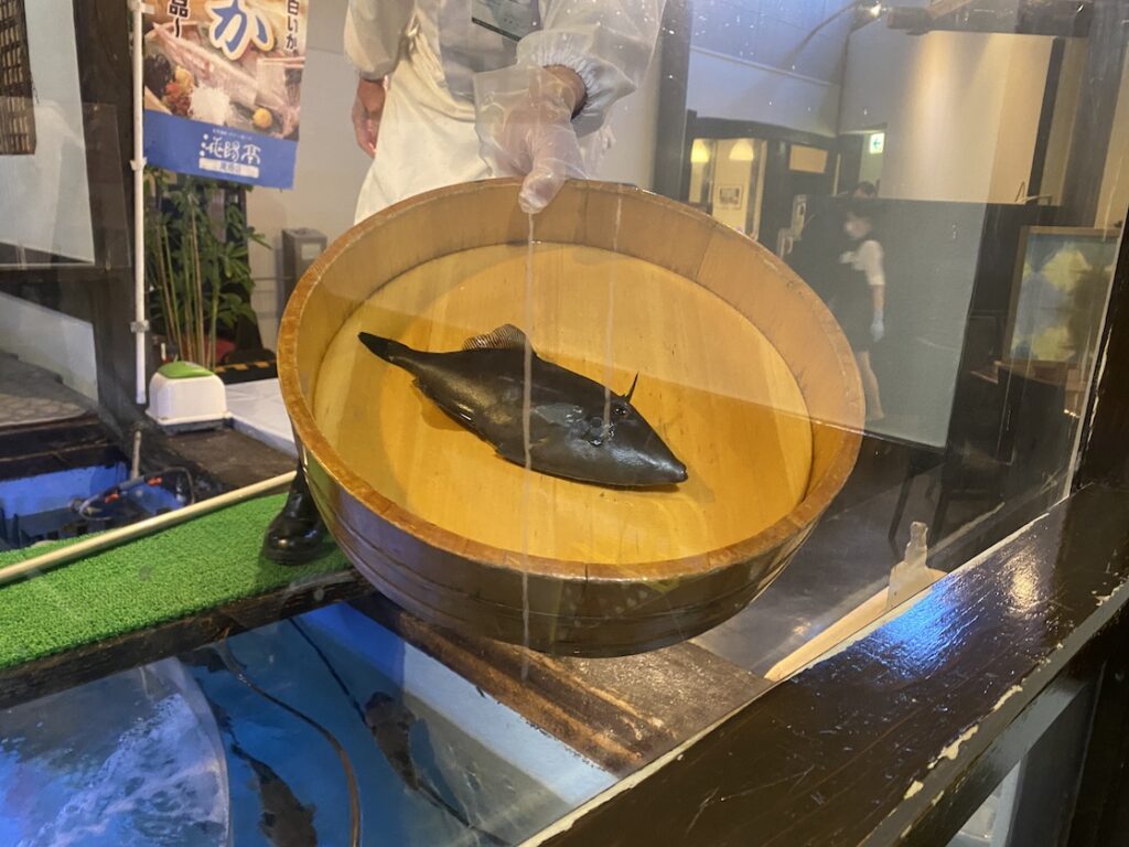 鳥取市の海陽亭のカワハギ