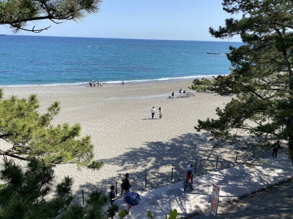 桂浜