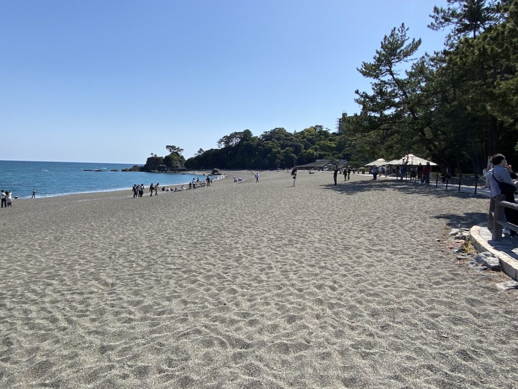 桂浜